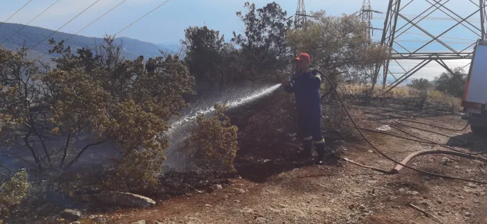 Χρονικό της δύσκολης μέρας με το διπλό μέτωπο στην Κοιλάδα του Δαφνιού 22 Χρονικό της δύσκολης μέρας με το διπλό μέτωπο στην Κοιλάδα του Δαφνιού 21