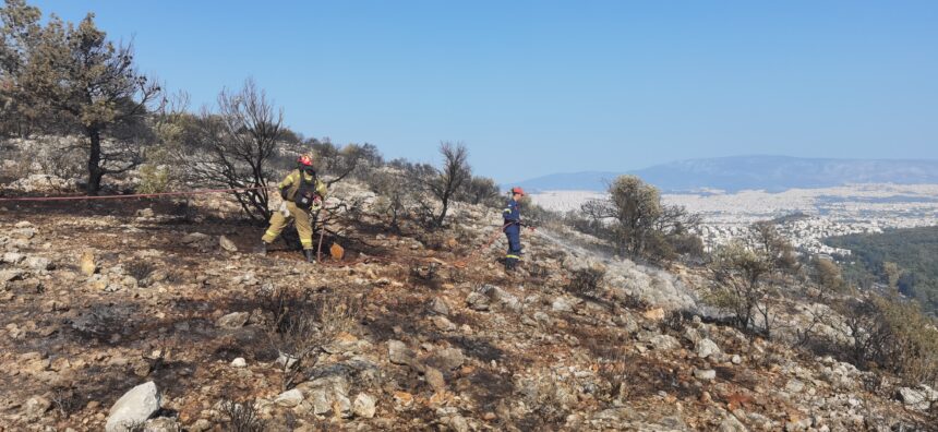 100 μέτρα από το Άλσος Δαφνίου η φωτιά - Πρόβλημα νερού στα πυροσβεστικά - Έκκληση για ρίψεις 15