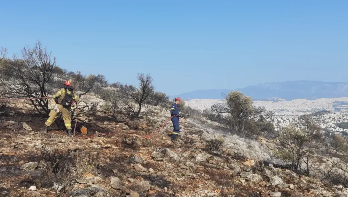 Χρονικό της δύσκολης μέρας με το διπλό μέτωπο στην Κοιλάδα του Δαφνιού 20 Χρονικό της δύσκολης μέρας με το διπλό μέτωπο στην Κοιλάδα του Δαφνιού 19