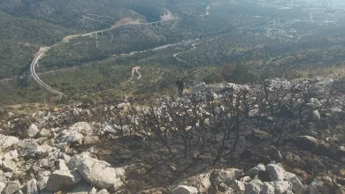 Ακόμα δεν έχει αντιληφθεί τι διακυβεύεται! - Ούτε λάστιχο ποτίσματος... 3