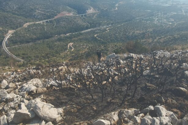 Ακόμα δεν έχει αντιληφθεί τι διακυβεύεται! - Ούτε λάστιχο ποτίσματος... 23