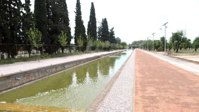 Ολοκληρώθηκε η βιοκλιματική ανάπλαση έξυπνης διαδρομής στο “Τρίτσης” 21