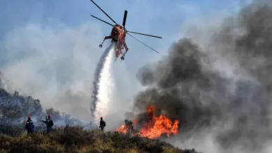 Πύρινο μέτωπο στα Μέγαρα - Έχουν καεί σπίτια 66