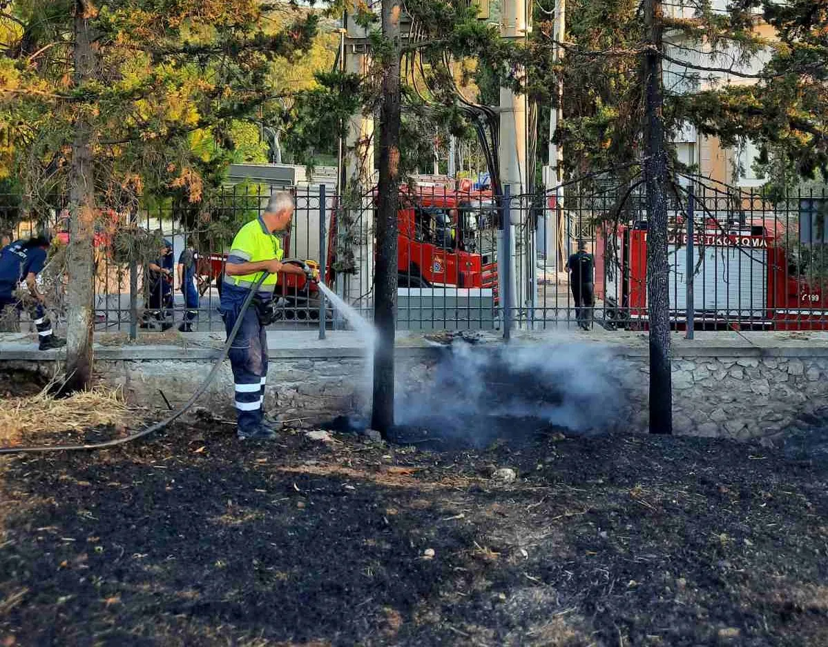 Ο γνωστός εμπρηστής χτύπησε πάλι σήμερα στη Βουλγαροκτόνου, στο Δαφνί 4 Ο γνωστός εμπρηστής χτύπησε πάλι σήμερα στη Βουλγαροκτόνου, στο Δαφνί 3