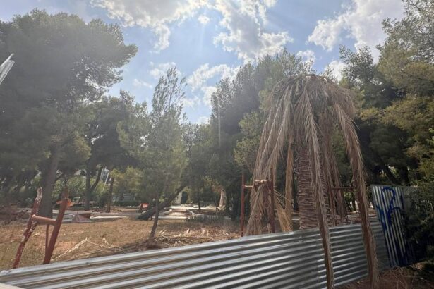 Διακοπή εργασιών στο Παλατάκι - "Ποιος πληρώνει τον βαρκάρη;" 41