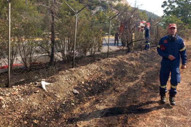 Μεγάλη κινητοποίηση για φωτιά στο Σχιστό 11