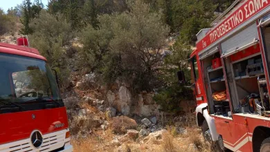 Φωτιά στο Ποικίλο: Γραμμή άμυνας για Δαφνί και Αφαία 78
