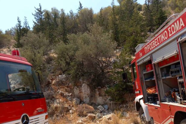 Οι σειρήνες ούρλιαξαν πάλι σήμερα στο Χαϊδάρι, αλλά φωτιά δεν έβρισκαν... 23