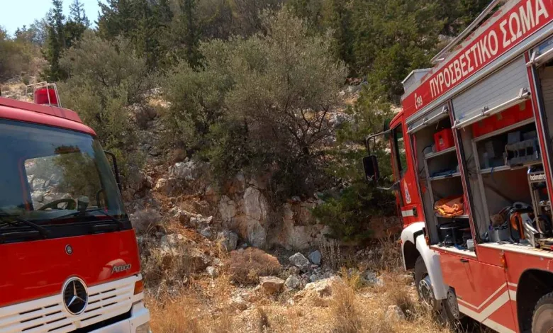 Φωτιά στο Ποικίλο: Γραμμή άμυνας για Δαφνί και Αφαία 2 Φωτιά στο Ποικίλο: Γραμμή άμυνας για Δαφνί και Αφαία 1