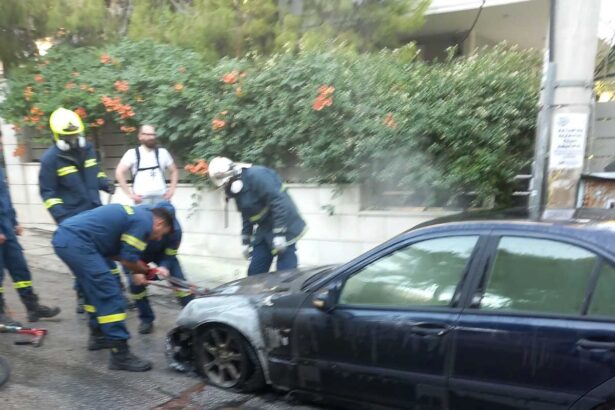 Φωτιά σε ΙΧ στο Δάσος 35