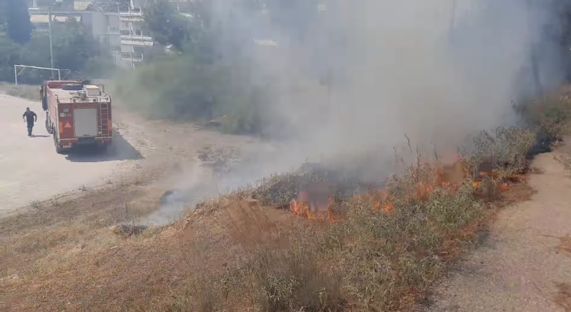 Φωτιά σήμερα το μεσημέρι στο Δαφνί 4 Φωτιά σήμερα το μεσημέρι στο Δαφνί 3