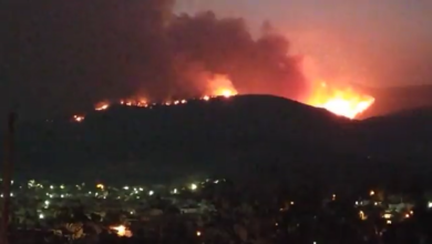 Αγωνία στην Πάρνηθα, απειλείται ο Εθνικός Δρυμός 5