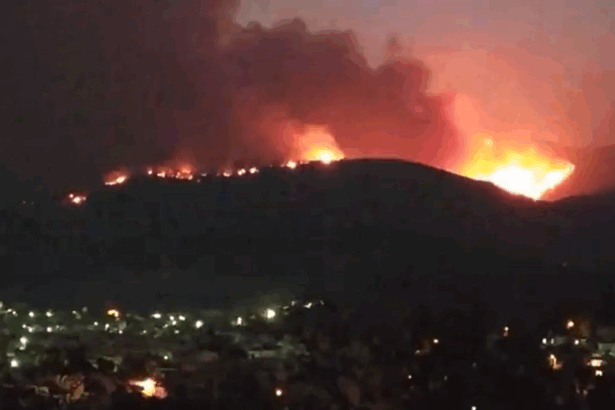 Αγωνία στην Πάρνηθα, απειλείται ο Εθνικός Δρυμός 19