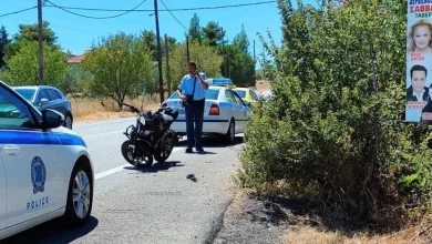 "Γλίτωσε από του χάρου τα δόντια, μέσα στους θάμνους" 13