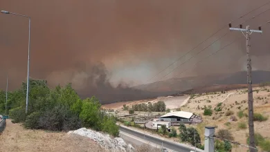 Δεν βγάζουμε στα πεζοδρόμια κλαδέματα, έπιπλα κτλ. 13