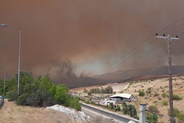 Δεν βγάζουμε στα πεζοδρόμια κλαδέματα, έπιπλα κτλ. 29