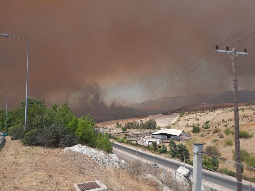 Δεν βγάζουμε στα πεζοδρόμια κλαδέματα, έπιπλα κτλ. 2 Δεν βγάζουμε στα πεζοδρόμια κλαδέματα, έπιπλα κτλ. 1