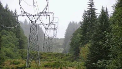"Και όμως, η διεθνής πρακτική είναι αυτό που γίνεται σήμερα στην Κοιλάδα του Δαφνιού" 13