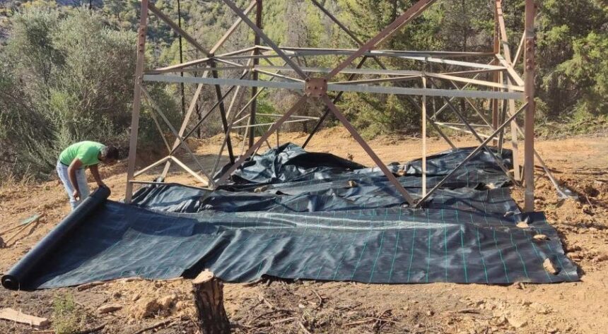 Αντιπυρικό έργο σε πυλώνες στον Διομήδειο Κήπο, με ήπια παρέμβαση στο δάσος - Φωτορεπορτάζ 1