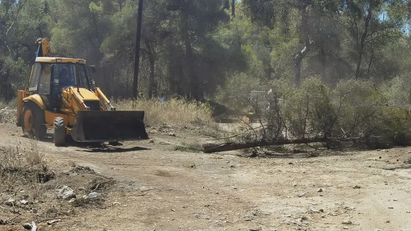 Ξεπαστρεύουν δάσος στο Χαϊδάρι, για να μην "βάλουν το χέρι στην τσέπη" 6 Ξεπαστρεύουν δάσος στο Χαϊδάρι, για να μην "βάλουν το χέρι στην τσέπη" 5