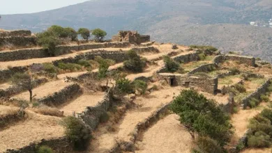 Ξερολιθιές, αναβαθμίδες, πεζούλες: Δάσωση στα νησιά με "τράπεζα γης" 28