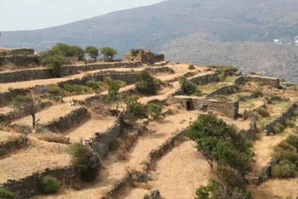 Ξερολιθιές, αναβαθμίδες, πεζούλες: Δάσωση στα νησιά με "τράπεζα γης" 37