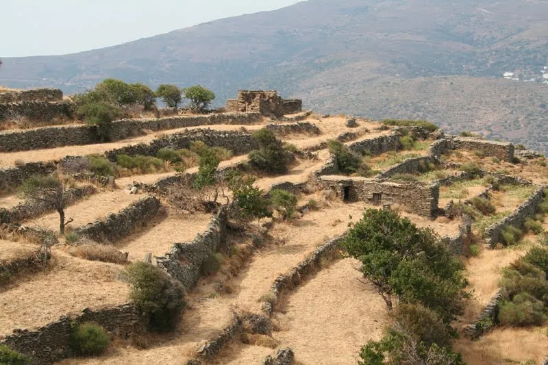 Ξερολιθιές, αναβαθμίδες, πεζούλες: Δάσωση στα νησιά με "τράπεζα γης" 1