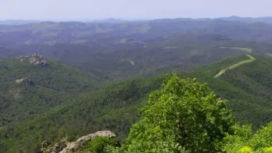 Οι "συνταγές" της πυρόσβεσης και οι μηχανισμοί σκορπίσματος χρήματος 14