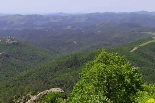 Οι "συνταγές" της πυρόσβεσης και οι μηχανισμοί σκορπίσματος χρήματος 19