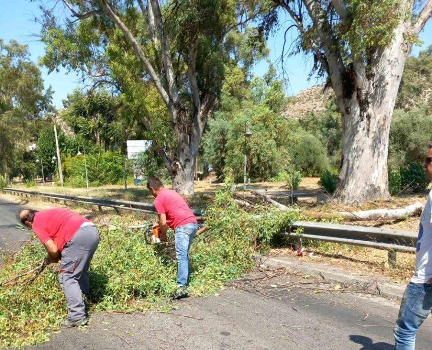 Πτώση μεγάλου κλαδιού στη Λεωφόρο Αθηνών 1