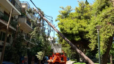 Χαϊδάρι: Πτώση δέντρου σε καλώδια 18