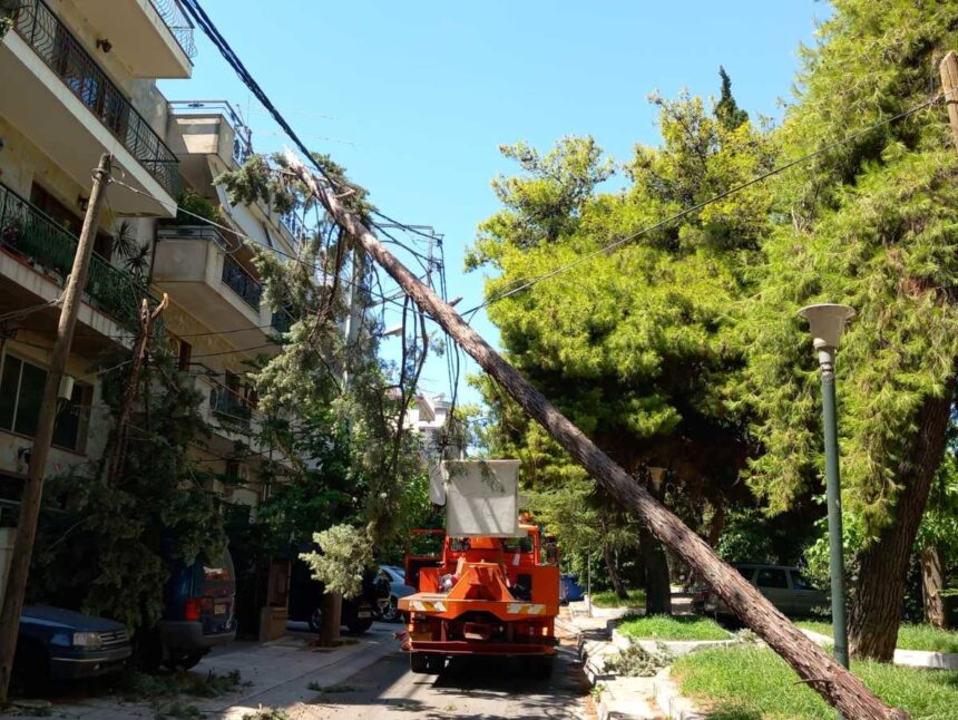 Χαϊδάρι: Πτώση δέντρου σε καλώδια 1