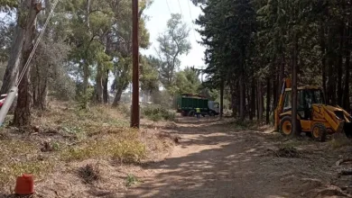 παρέμβαση πυρασφάλειας