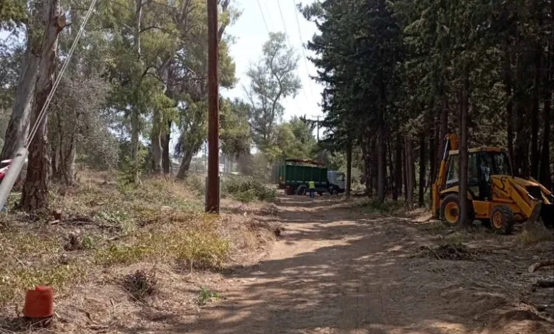 Έχει επιβάλλει όρους ο Δήμος Χαϊδαρίου για την κοπή δάσους στο Δαφνί; 1 παρέμβαση πυρασφάλειας