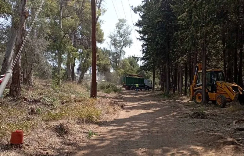 Εκτεταμένη παρέμβαση πυρασφάλειας στο δάσος της Κοιλάδας του Δαφνιού 3 παρέμβαση πυρασφάλειας