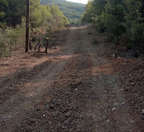 Εκτεταμένη παρέμβαση πυρασφάλειας στο δάσος της Κοιλάδας του Δαφνιού 5 Εκτεταμένη παρέμβαση πυρασφάλειας στο δάσος της Κοιλάδας του Δαφνιού 4