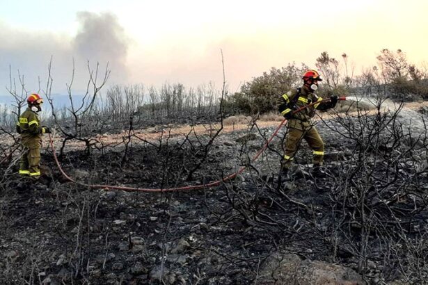 Οι εθελοντές δασοπυροσβέστες της Πάρνηθας συνεδρίασαν στον Διομήδειο Κήπο 15