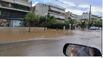 Μιχάλης Σελέκος: Ούτε "αδιαφορία" ούτε "ανικανότητα" 24