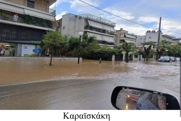 Μιχάλης Σελέκος: Ούτε "αδιαφορία" ούτε "ανικανότητα" 35
