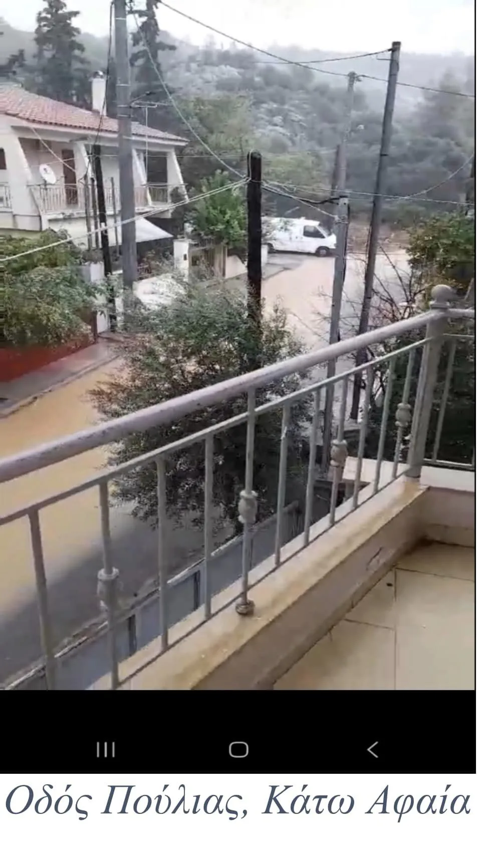 Μιχάλης Σελέκος: Ούτε "αδιαφορία" ούτε "ανικανότητα" 4 Μιχάλης Σελέκος: Ούτε "αδιαφορία" ούτε "ανικανότητα" 3