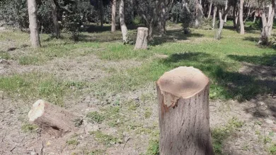 Το νο1 τοπόσημο του Αιγάλεω βρίσκεται σε εγκατάλειψη 23
