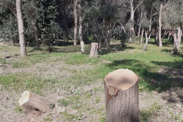 Το νο1 τοπόσημο του Αιγάλεω βρίσκεται σε εγκατάλειψη 31