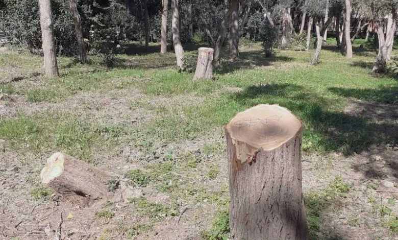 Το νο1 τοπόσημο του Αιγάλεω βρίσκεται σε εγκατάλειψη 2 Το νο1 τοπόσημο του Αιγάλεω βρίσκεται σε εγκατάλειψη 1