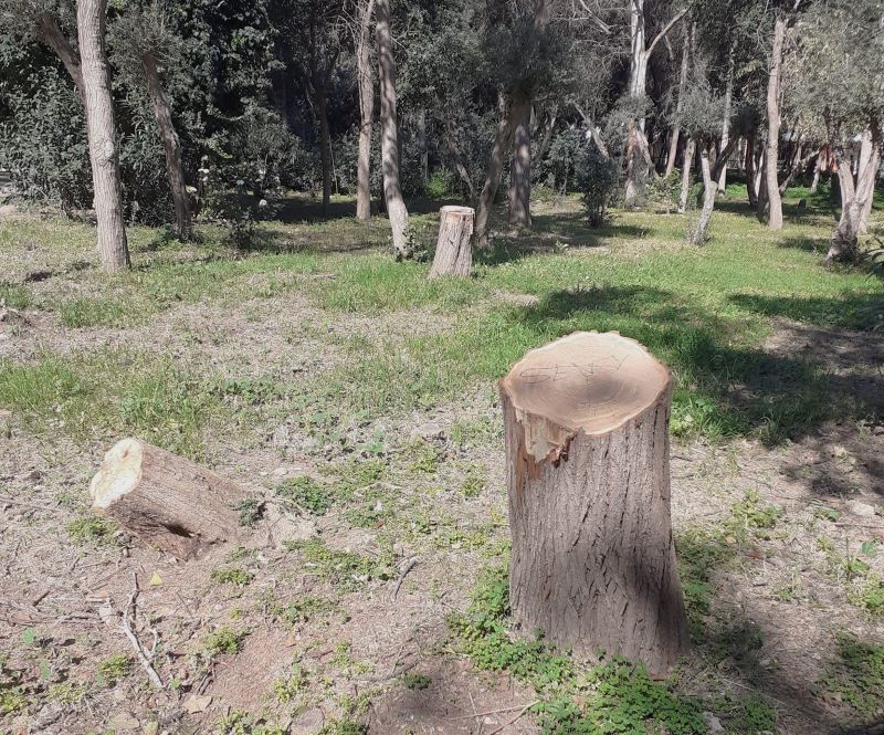 Το νο1 τοπόσημο του Αιγάλεω βρίσκεται σε εγκατάλειψη 1