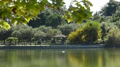 "Πάρκο Τρίτση, το Μητροπολιτικό Πάρκο της καρδιάς μας" - Απολογισμός έργων 5