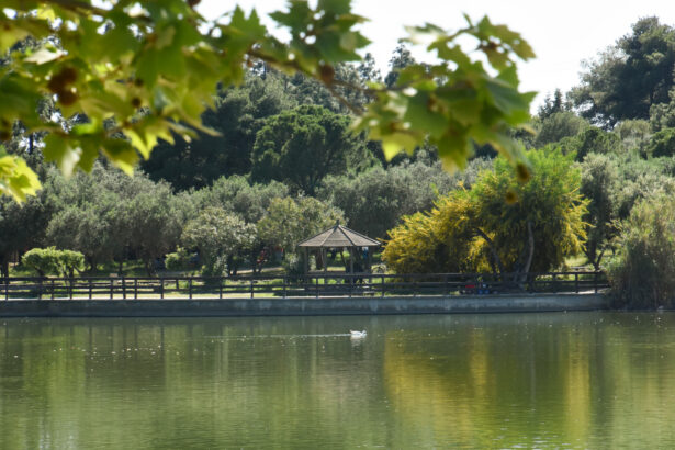 "Πάρκο Τρίτση, το Μητροπολιτικό Πάρκο της καρδιάς μας" - Απολογισμός έργων 41