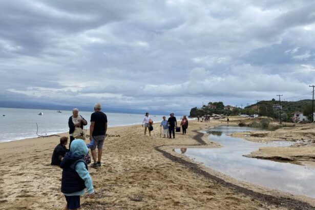 Πήλιο: "Δούλεψαν 3 μέρες σαν σκυλιά και έφυγαν δακρυσμένοι" – Συγκινητική μαρτυρία κατοίκου για τους τουρίστες 33