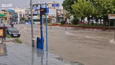 Κακοκαιρία Daniel, Θηβών και Πελασγίας - Βίντεο 3