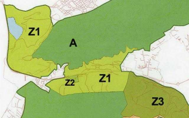 Έχει επιβάλλει όρους ο Δήμος Χαϊδαρίου για την κοπή δάσους στο Δαφνί; 3 Έχει επιβάλλει όρους ο Δήμος Χαϊδαρίου για την κοπή δάσους στο Δαφνί; 2