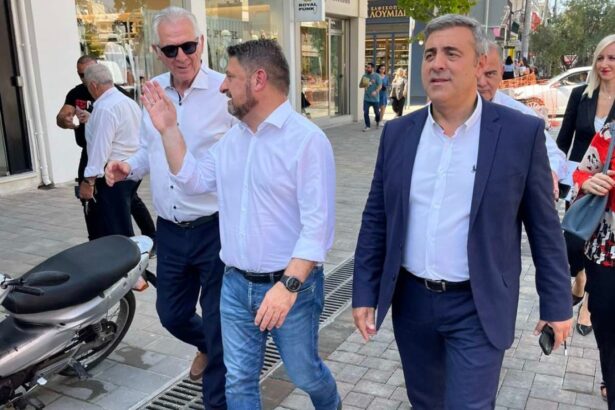 Ποιοι εκλέγονται περιφερειακοί σύμβουλοι στη Δυτική Αθήνα - Σταυροδοσία 15
